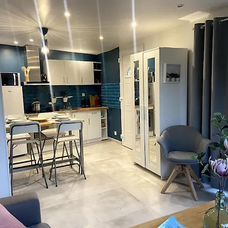 Daire Maison Jardin Et Parking Gratuit - 10 Min De L'aeroport - Metro 14 - Arrivee Autonome